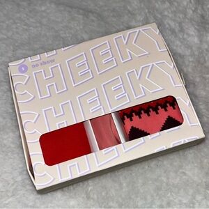 Aerie 3 Pack No Show Cheeky Panties Size Small NEW